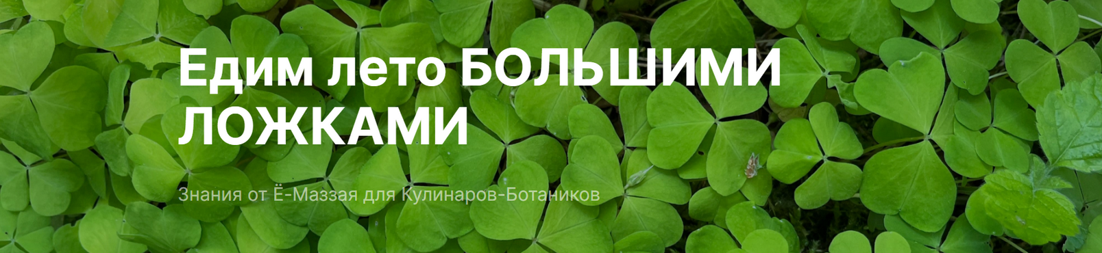 [Валерий Коршунов] [Ё-Маззай] Курс по дикоросам_ Е_0.png